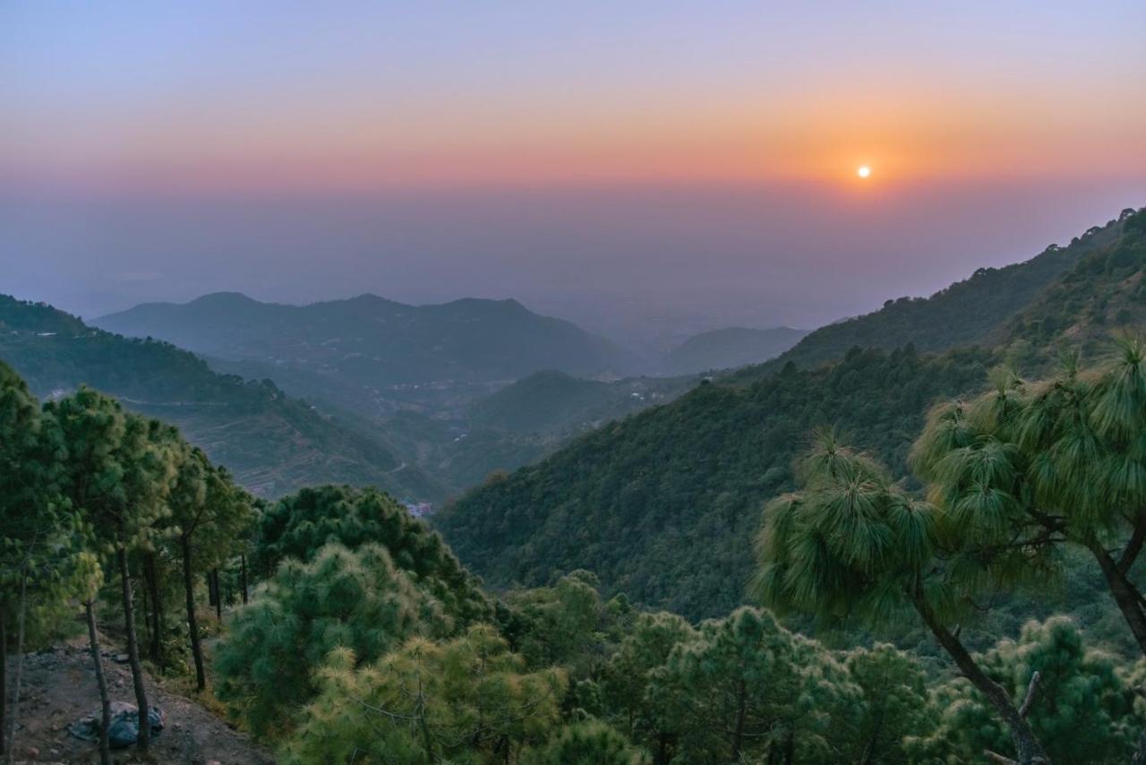 Urban Wave 2Bed Rooms By The North Edge Kasauli Exteriör bild