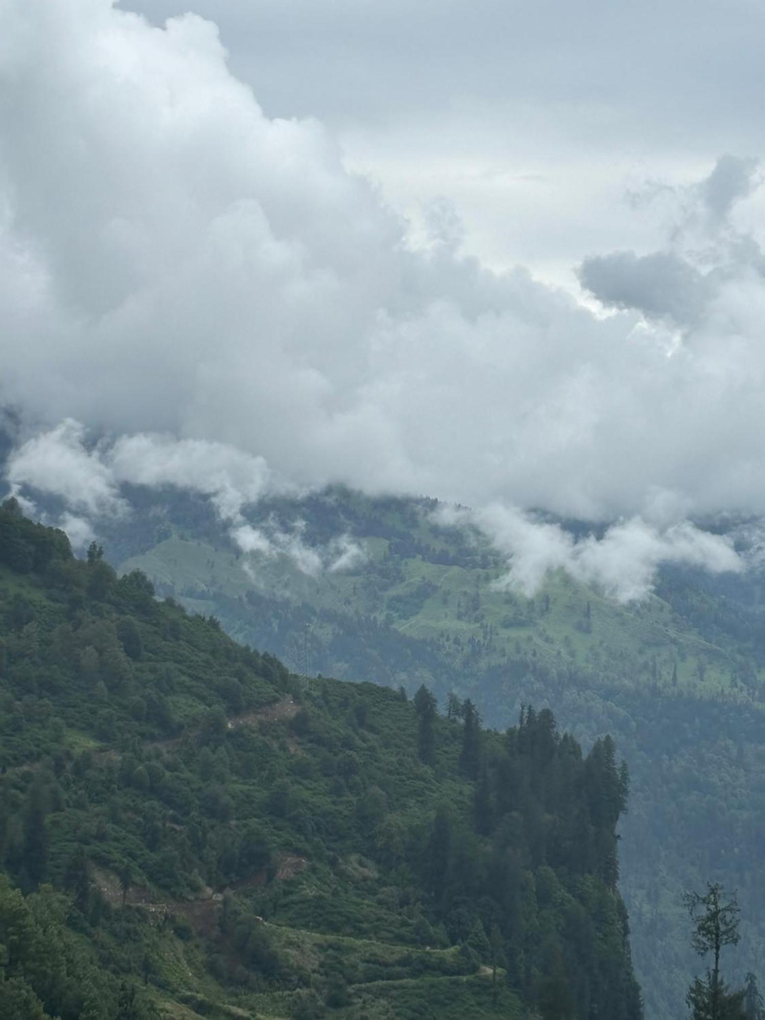 Urban Wave 2Bed Rooms By The North Edge Kasauli Exteriör bild